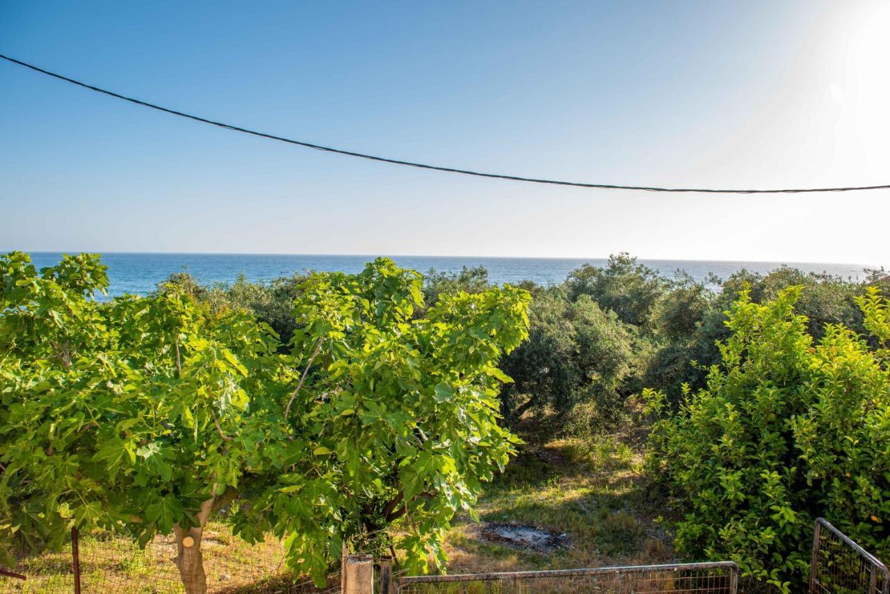 The Happiness Of Vangelis Paralia Vrachou Exterior photo